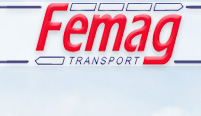 FeMag